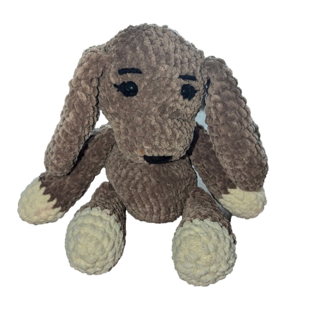 Long ear dog, he is shy but very kind, soft and fun to snuggle